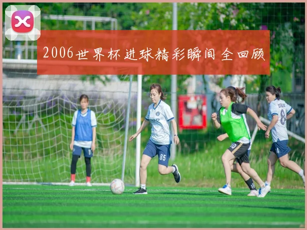 2006世界杯进球精彩瞬间全回顾